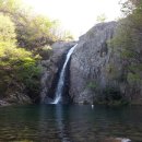 플로라펜션 이미지