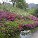 가학산 휴양림 이미지