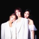 K.P.T(432) 이미지