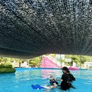 캠핑 앨리스 이미지