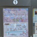 경의선 | 서울 벚꽃 명소 추천 I 공덕 대흥 경의선숲길 벚꽃 후기