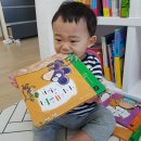 시각장애인아빠가 아이에게 책 읽어주는 법: 설리번+(설리번플러스)