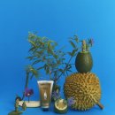 헤이지핸드 이미지