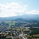 제주대학교사범대학부설중학교 이미지