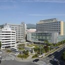 설마