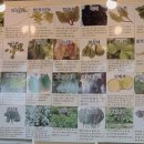 다다쌈밥 이미지