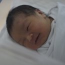 용용이네 이미지