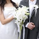 헤쎄드 | 헤쎄드플라라 : 경남 창원 김해 웨딩촬영 생화 웨딩부케 센터피스 강추 후기