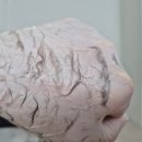 상봉길 | 스킨플래닝 받고 느낀 확실한 실력! 봉담왁싱·화성왁싱도 믿고 맡길 수 있는 바오 슈가링 왁싱 방문 후기