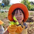 양정농장 이미지