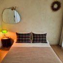 스테이 도토리 이미지