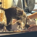 미누현대미술관 | 2025년 7월 미술관 박물관 영화관 알차게 다닌 여름 일기