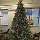 4782 | [서울 카페] 합정 베이커리카페 “올라운드커피” 다녀온 후기〰️ 소금빵맛집 추천