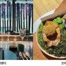 멈출 줄 모르는 한식의 미(美), 뉴코리안 파인다이닝 맛집 베스트 압구정 ‘라벤더’, 광화문 ‘주은...