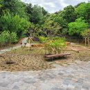 동곡초등학교2 이미지