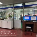 애니카랜드문학점 이미지