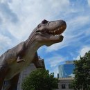 고성 공룡세계엑스포 일정 코스 주차 먹거리 이미지