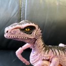 다이노워시 이미지