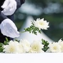 세명행정사 이미지