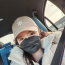bgs유통 | [MLB] 루키 언스트럭쳐 볼캡 NY 뉴욕양키스 베이지 캡모자 써본 후기