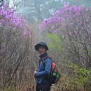 내서읍726 이미지