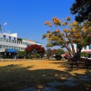 곡성-117 이미지