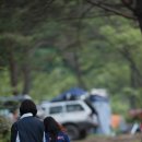 해미레 Daum카페