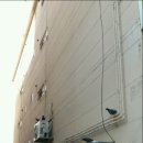 복댕이네 분식 이미지