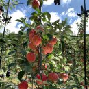 햇터농장 이미지