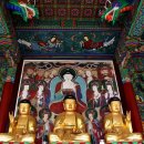 둘레길유랑 이미지