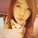 써니도그 이미지