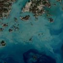 바다랑해초랑 이미지