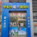 선명 행정사 이미지