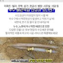 학장성심의원 네이버블로그