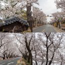 교리2길 이미지