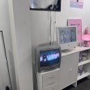 줌 갤러리카페 정이든케이크 | [후기] 엔시티 위시 유우시 생일카페 투어 | 어. 누나는 하루에 생카 열 군데 가. (+ 메가커피 컵홀더)