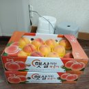 박춘녀 Daum카페