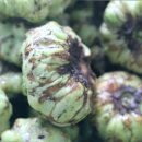 충영농장 이미지