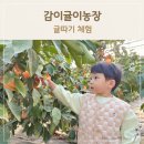 정규농장 | 귤따기 체험 부산근교 4살 아이랑 갈만한곳 감이귤이농장에서 천혜귤따기