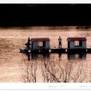 오색로뎀나무아래 이미지