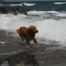 나곡해수욕장 이미지