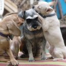 지송농장 이미지