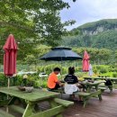 나리다온 이미지