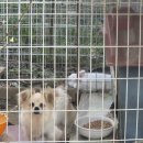 길구농장 이미지