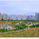 배곧생명공원 이미지