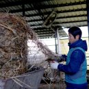 상하고향목장 이미지