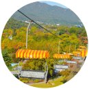 10월17일(금) 서울 대공원 단풍공원 길 걷기 이미지