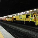 서해장식 이미지