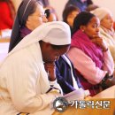 로피아노 이미지