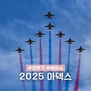 21 | 서울 ADEX 아덱스 2025 에어쇼 후기 KF21 전투기 곡예비행